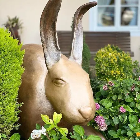 Beim Has'n * Римстинг